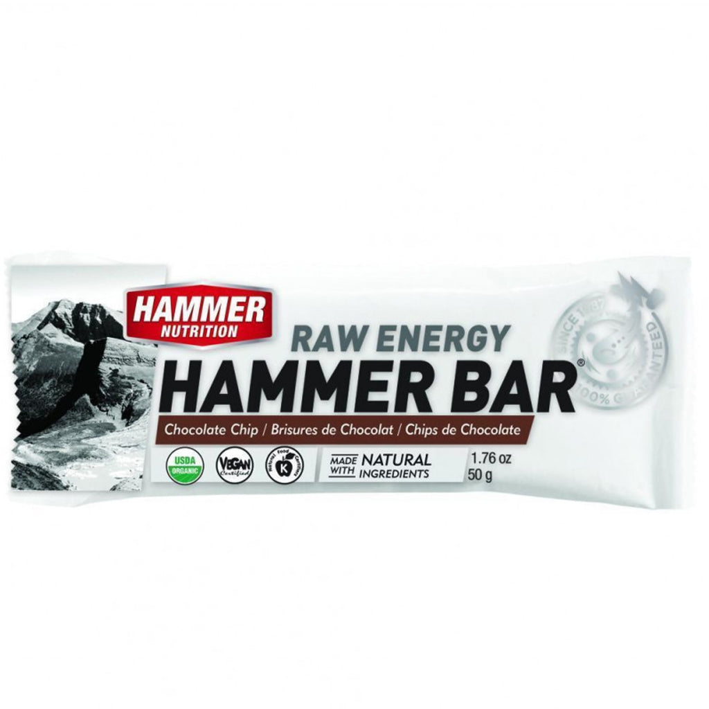 Hammer Nutrition Barra Raw Energy - Chocolate Chip